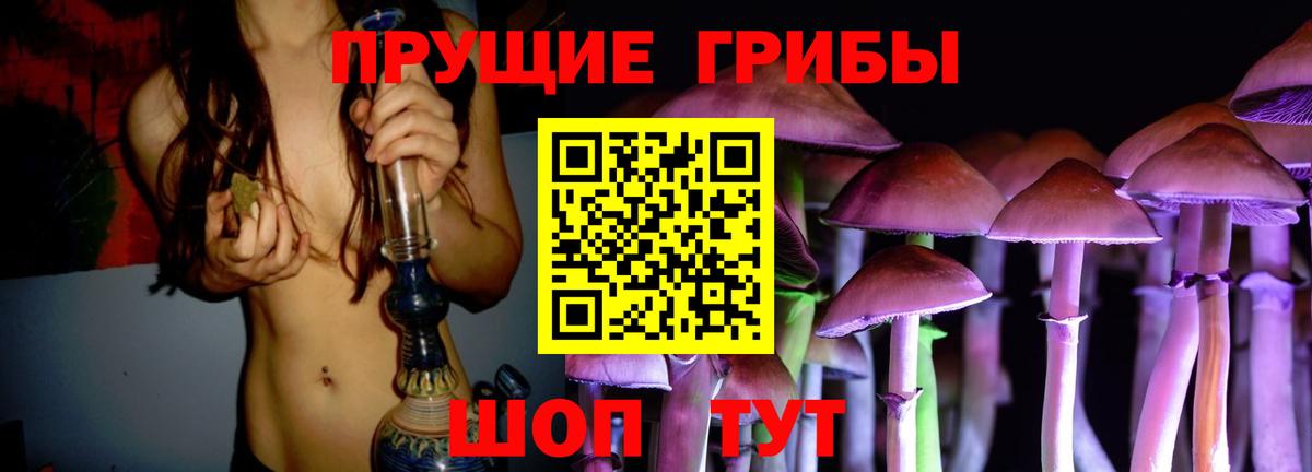 Псилоцибиновые грибы мицелий  Вход с VPN  Татарск  Галлюциногенные грибы MAGIC MUSHROOMS 